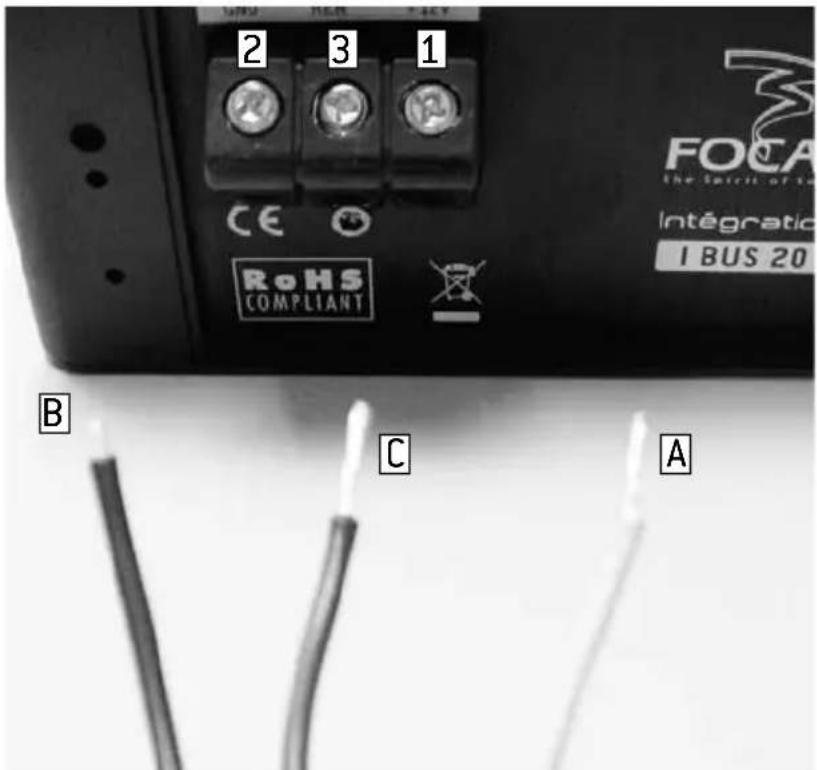 FOCAL Integration IBUS20 - CONNECTION / ConnEXION - 3