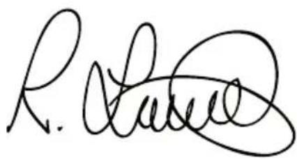 BLACK & DECKER EGBHP1881 - CE - 1