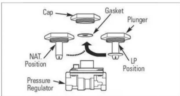 VIKING VGIC53024BSMLP - LPGAS - 2