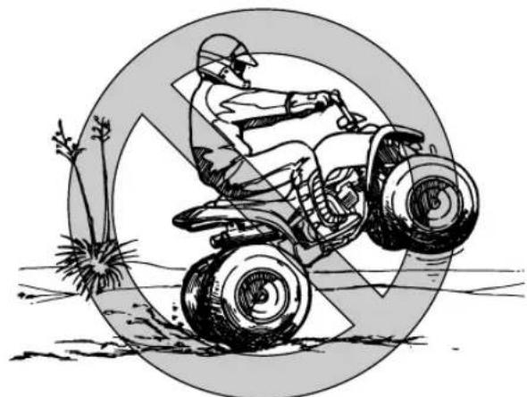 YAMAHA YFM90R (2020) - Pendant la conduite - 2