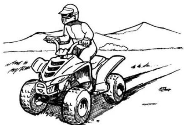 YAMAHA YFM90R (2020) - AVERTISSEMENT - 2