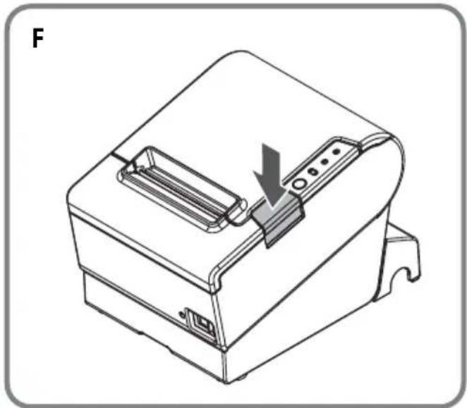 EPSON TMT88VI - Illustrations - 5