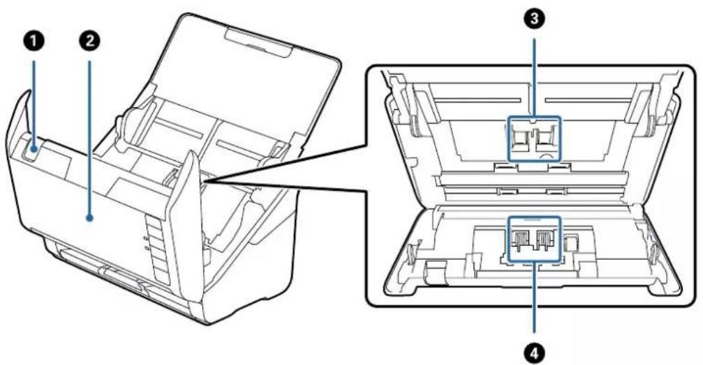 EPSON WorkForce DS770II - Intérieur - 1