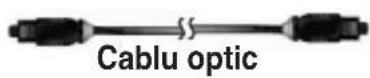 ASUS O!Play Mini V2 - Folosirea media player-lui dvs HD - 9