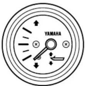 YAMAHA FL300B1 (2015) - Compteurs optionnels - 2