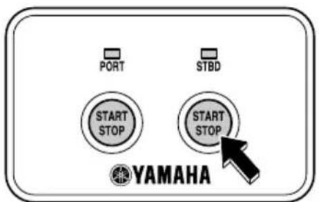 YAMAHA FL300B1 (2015) - REMARQUE: - 4