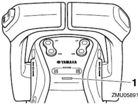 YAMAHA FL300B1 (2015) - ATTENTION - 2