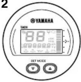 YAMAHA FL300B1 (2015) - REMARQUE: - 5