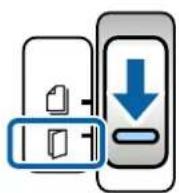 EPSON WorkForce DS30000 - Positionnement de cartes plastifiées - 1
