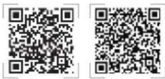 ASUS Lyra Voice - Lyra Voice 設置す - 1