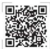 ASUS Lyra Voice - LYRA VOICE ALS ROUTER EINRICHEN - 1