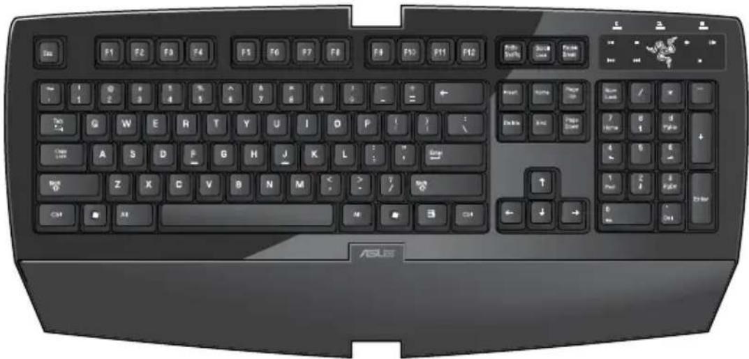 ASUS CG8265 - ASUS-Razer Arctosa Gaming keyboard - 1