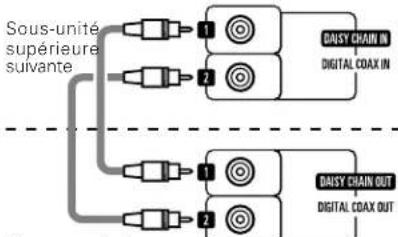 DENON DCM5001 - Connexion en boucle (COAX) - 1