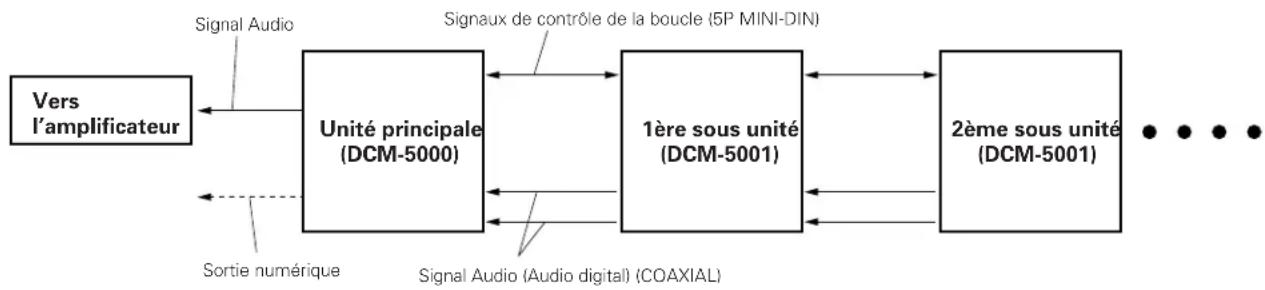 DENON DCM5001 - Connexions (générales) - 1