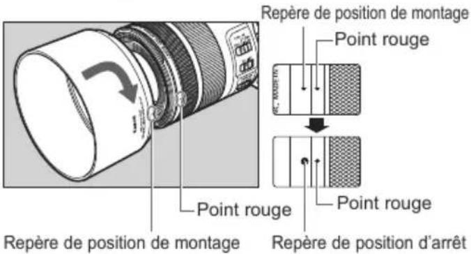 CANON RF 85mm f2 Macro IS STM - Parasoleil (vendu séparément) - 1