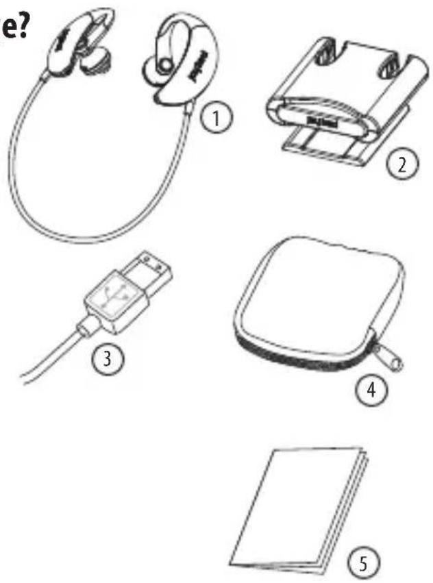 JAYBIRD JB200 - What's included in this package? - 1