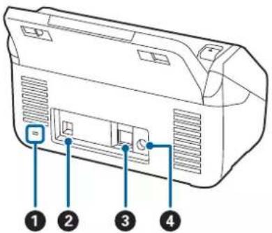 EPSON WorkForce DS730N - Noms et fonctions des éléments - 2