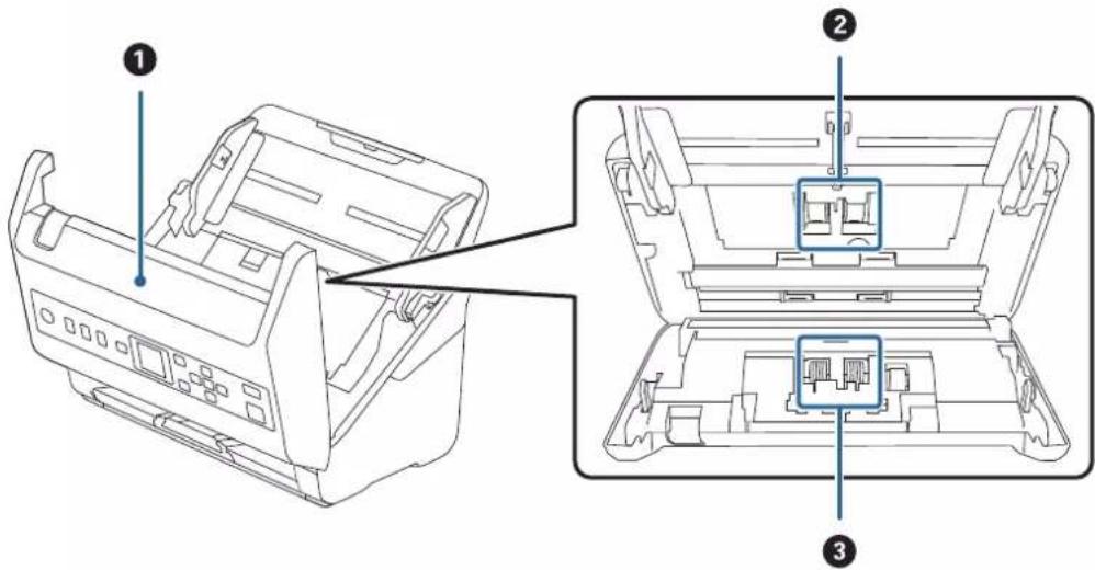 EPSON WorkForce DS730N - Noms et fonctions des éléments - 3