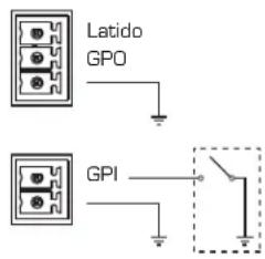 QSC CXD4.2 - Nonexiones GPIO - 1