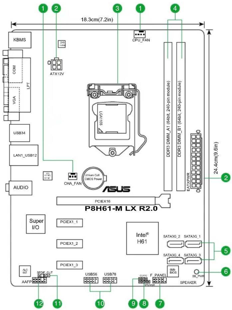 ASUS P8H61M LX PLUS R2.0 - 主板结构图 - 1