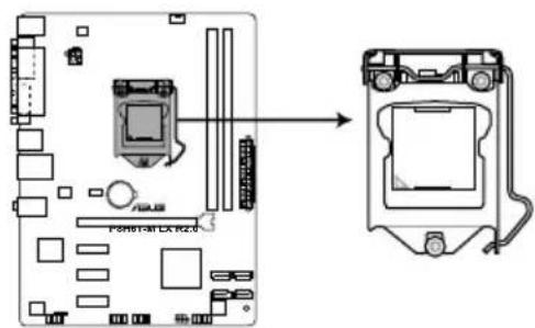 ASUS P8H61M LX PLUS R2.0 - 中央处理器 (CPU) - 1