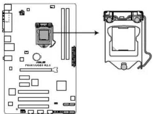 ASUS P8H61 PLUS R2.0 - 安装中央处理器 - 1