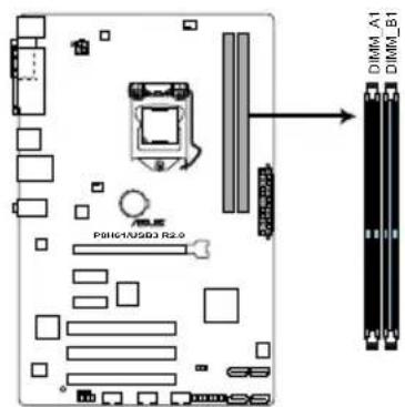 ASUS P8H61 PLUS R2.0 - 卸除散热器与风扇 - 4
