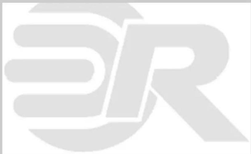 ROADSTAR PCD498NMP - INTERNATIONAL WARRANTY - INTERNATIONALE GARANTIE GARANTIE INTERNATIONALE - GARANZIA INTERNAZIONABLE GARANTIA INTERNACIONAL - GARANTIA INTERNACIONAL - 1