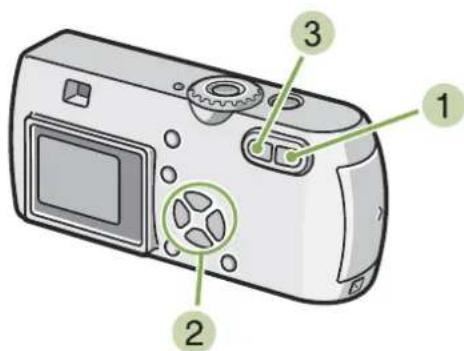RICOH Caplio G3 - Affichage d'un agrandissement de l'image fixe alors à l'écran - 1
