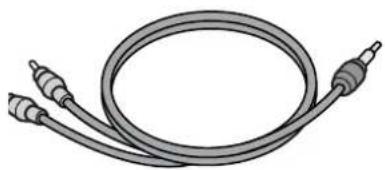 RICOH Caplio G3 - Cable AV - 1