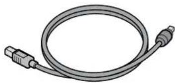 RICOH Caplio G3 - Cable USB - 1