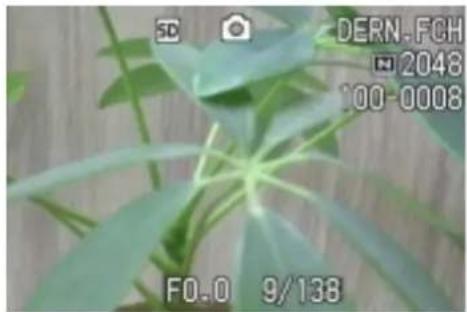 RICOH Caplio G3 - Suppression de plusieurs images en une seule fois - 2
