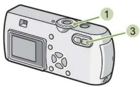 RICOH Caplio G3 - Agrandissement - 1