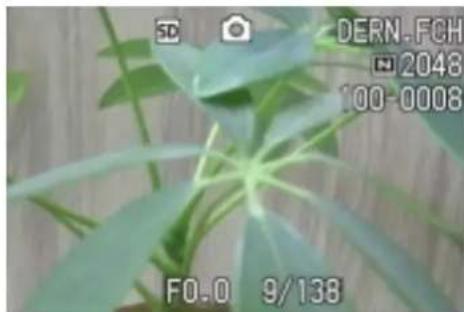RICOH Caplio G3 - Affichage d'une photo avec S Multi-Shot ou M Multi-Shot en mode Agrandissement - 2
