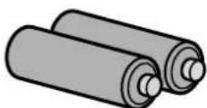 RICOH Caplio G3 - Piles alcalines AA - 1