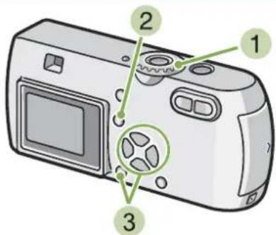 RICOH Caplio G3 - Utilisation de la lumière naturelle et artificielle (Balance des blancs) - 2