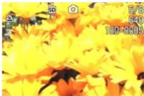 RICOH Caplio G3 - Paramétrage de toutes les images fixes au format DPOF - 4