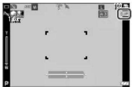 1.0x 100 CLIP