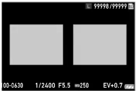 99998/99999 00-0630 1/2400 F5.5 -250 EV+0.7