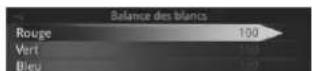 PIONEER NavGate HUD - Balancedesblancs - 1