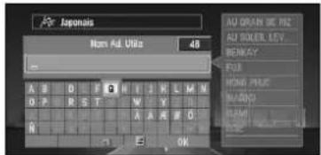 PIONEER CNDV30 - Recherche par adresse utile - 3