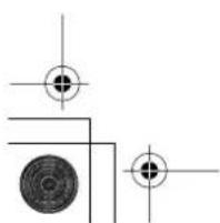 PIONEER CNDV30 - Corrélation cartographique - 2