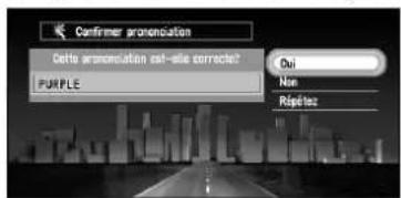 PIONEER CNDV30 - Enregistrement d'un mot de passe - 2