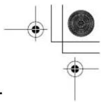 PIONEER CNDV30 - Attention - 2