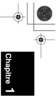 PIONEER CNDV30 - Affichage 3D - 2