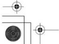 PIONEER CNDV30 - Témoins de passage - 1