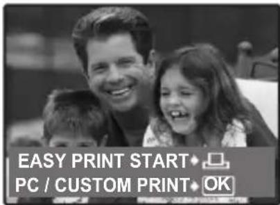 OLYMPUS X795 - Direct Printing (PictBridge) - 2