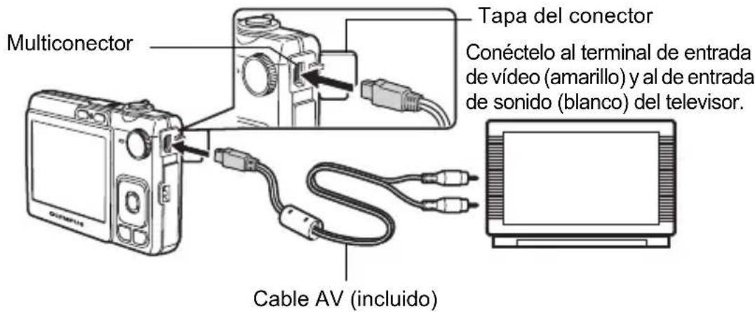 OLYMPUS X795 - Reproduccion en un televisor - 1