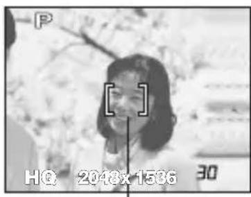 OLYMPUS Camedia D395 - How to lock the focus - 1