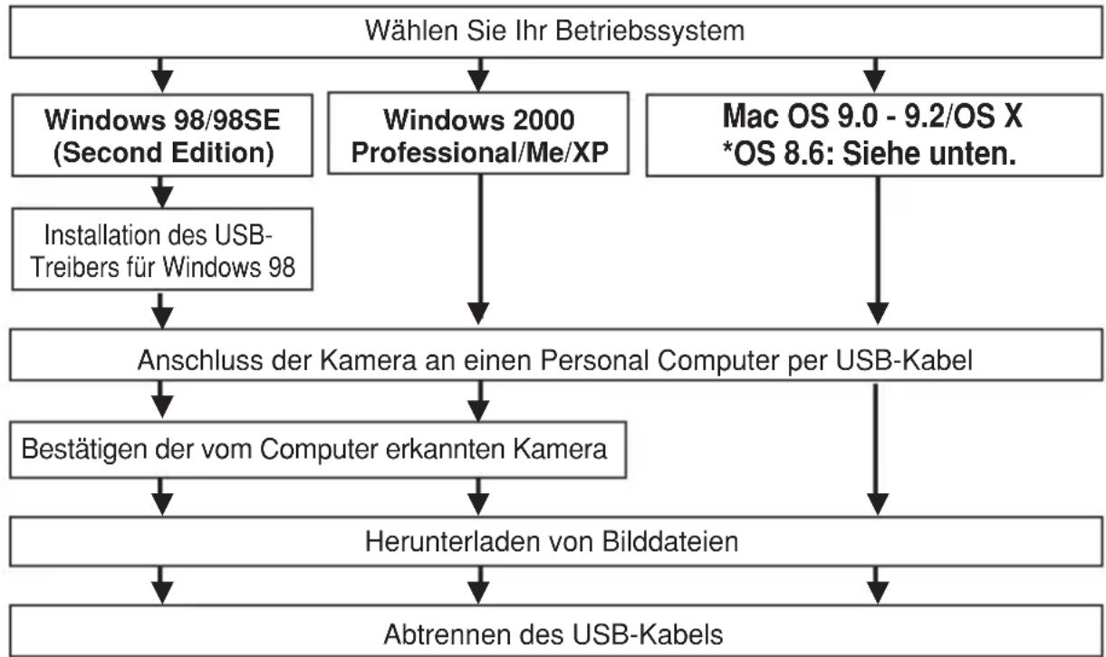 OLYMPUS Camedia D395 - Bildübertragung auf einen Personal Computer - 1